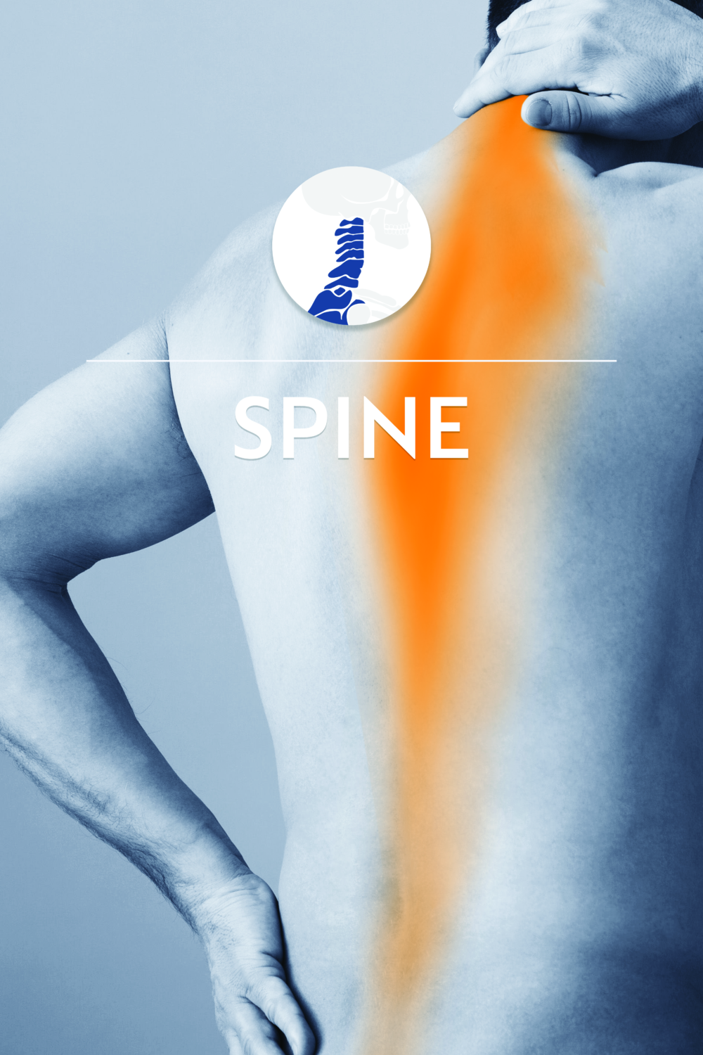 Shein Orthopaedics - Shein Orthopaedics - Ny Nj